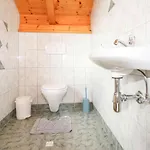 Steinfelddrautal Holiday home