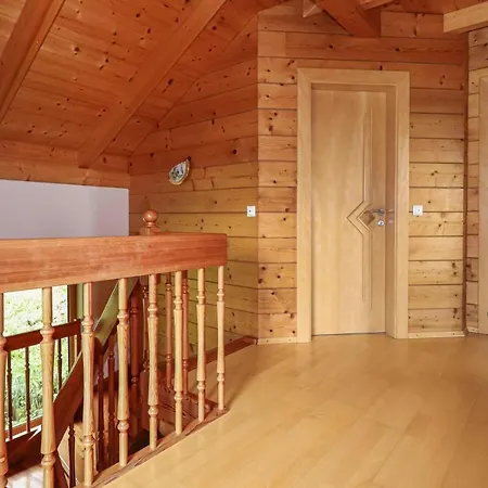 Steinfelddrautal Holiday home